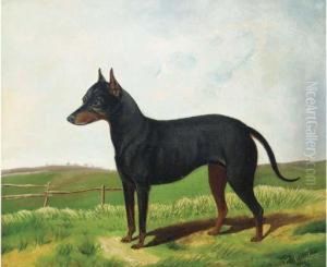 A Manchester Terrier In A Landscape A Manchester Terrier In A Landscape