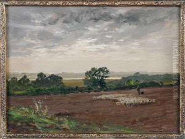 'near Maldon - view 1
